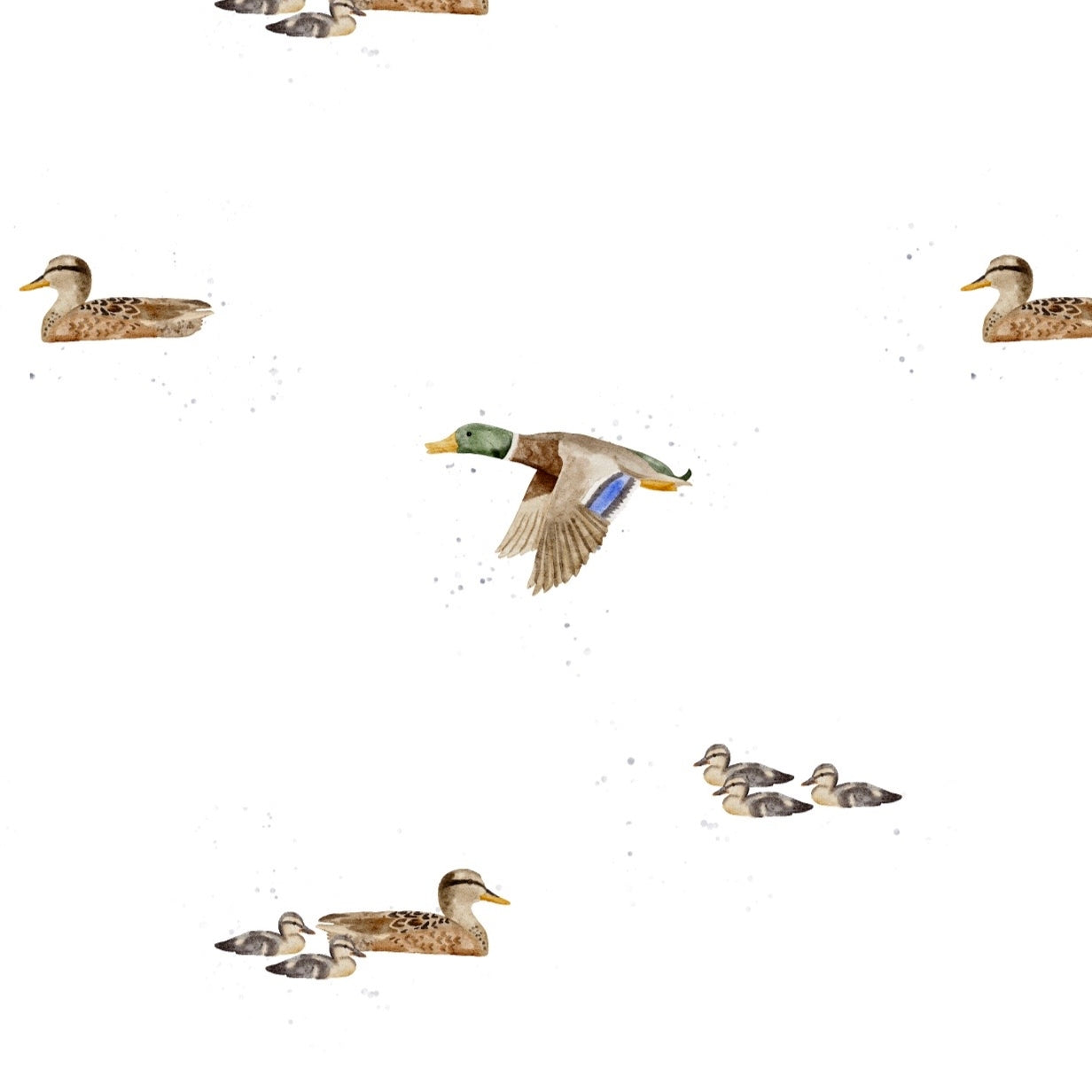 Stockenten