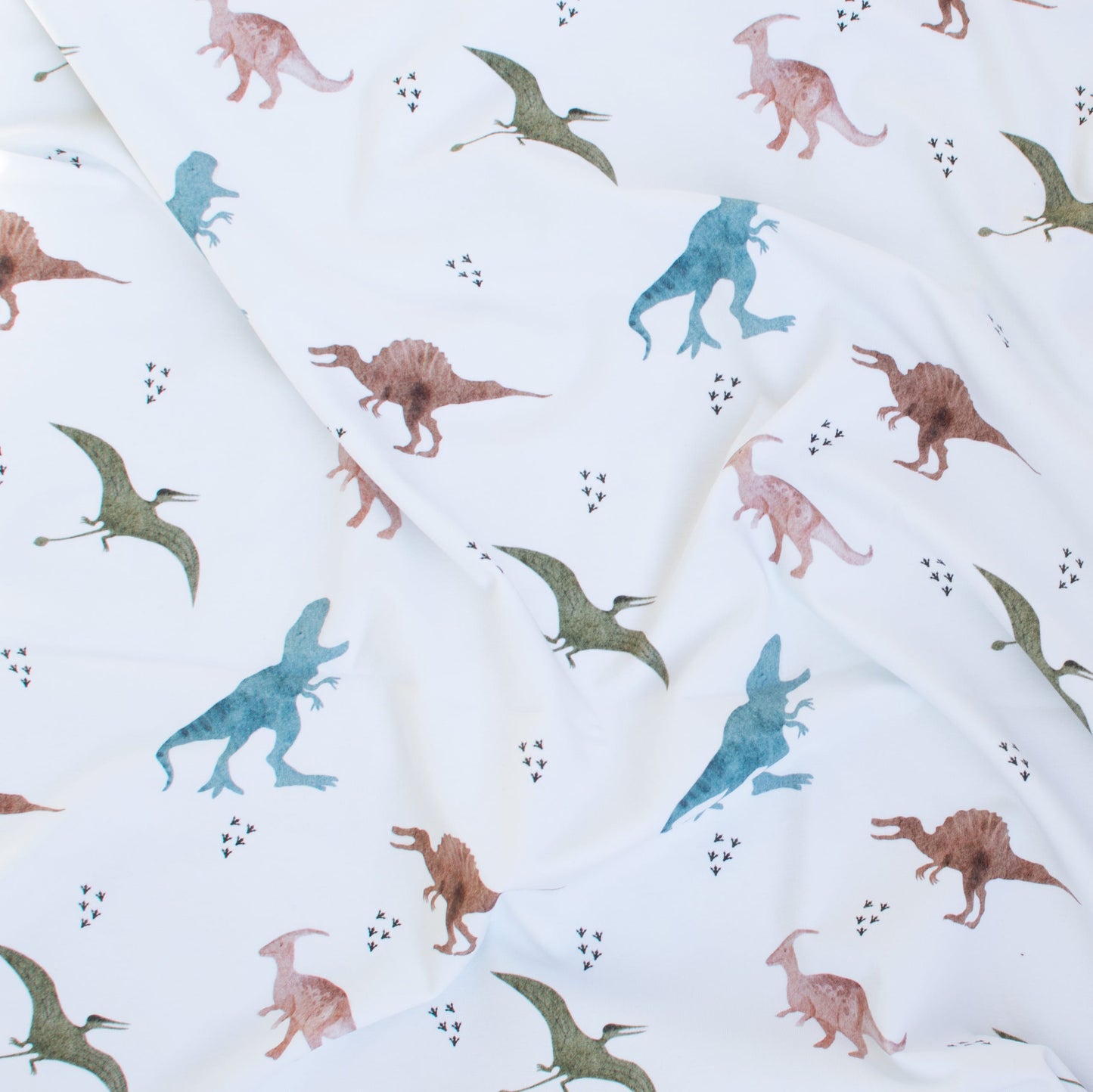 Bio Jersey Dinosaurier