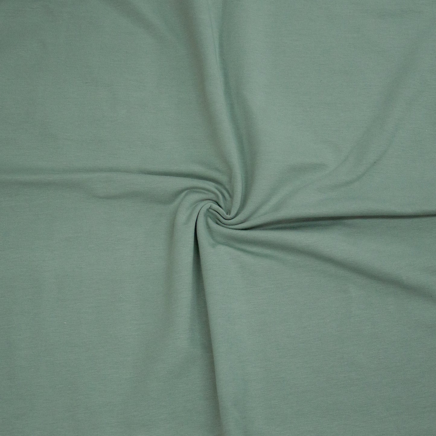 Bio Frenchterry Altmint