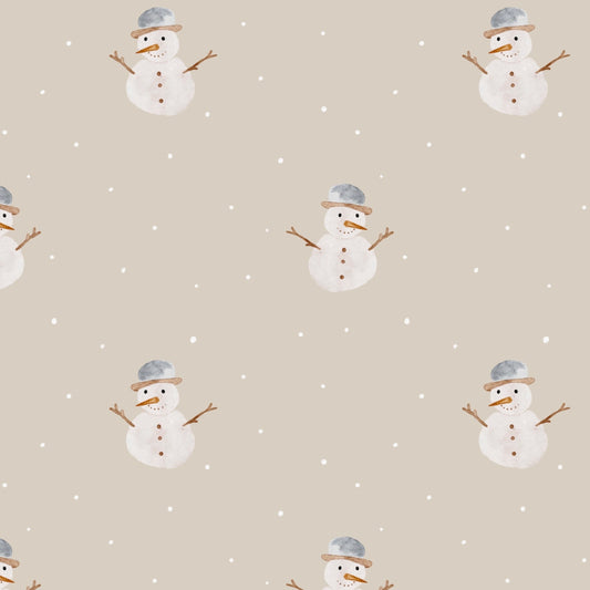Mr. Snowman